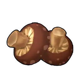 Pişmiş Mantar