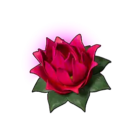 Güç Lotusu (K)