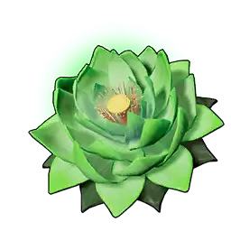 Can Lotusu (B)
