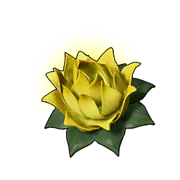 Dayanıklılık Lotusu (K)