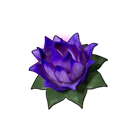 Taşıma Lotusu (K)