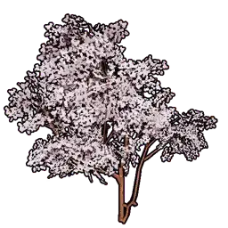 Faux Cherry Blossoms A
