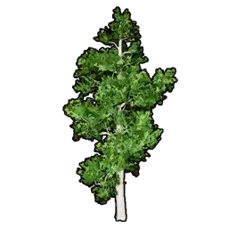 Faux Greenery A