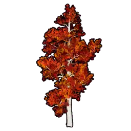 Faux Crimson Foliage A