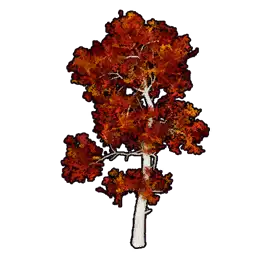 Faux Crimson Foliage C