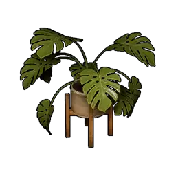 Houseplant